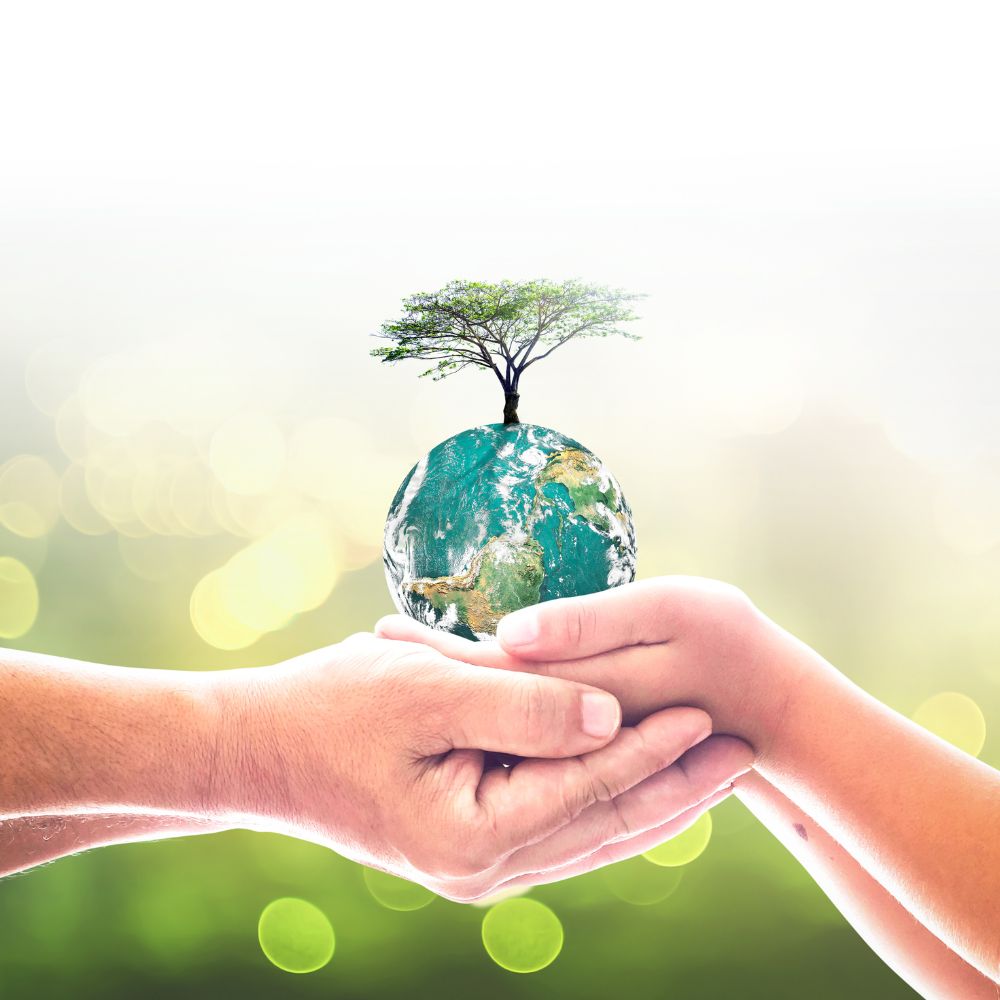 Requisitos_proveedores