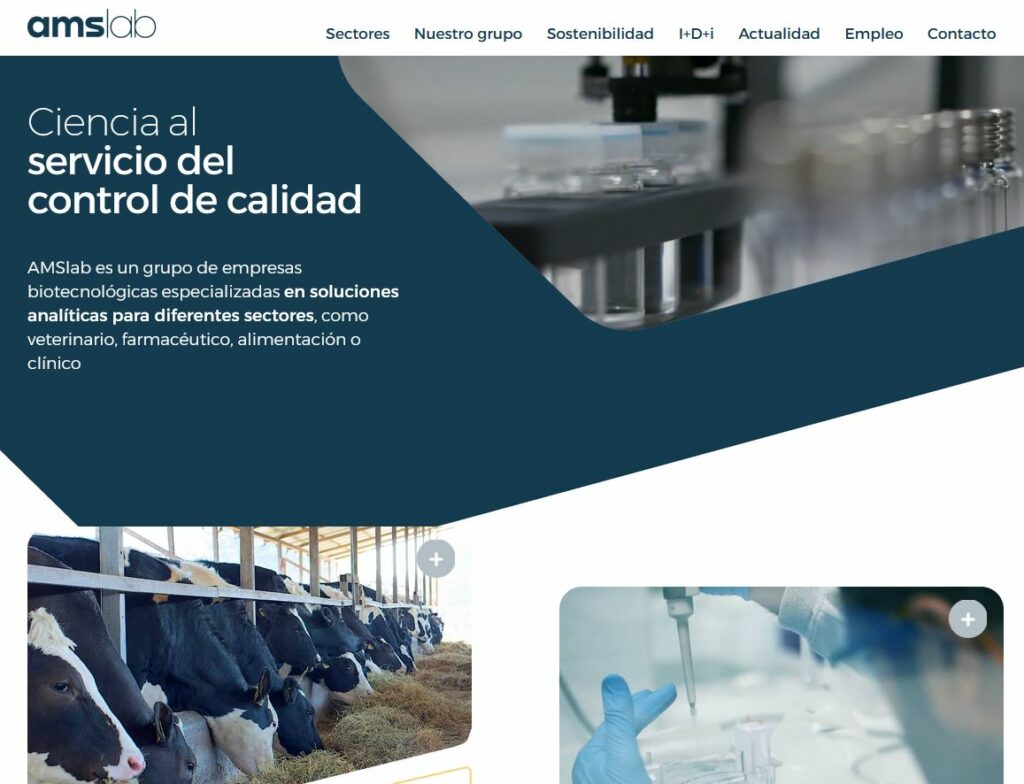 Nueva web corporativa